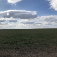 Grant County Cropland