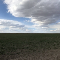 Grant County Cropland images 2