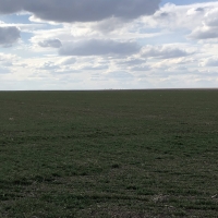 Grant County Cropland images 3