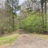 148 Acres &nbsp; Hwy 248 &nbsp; Maya 1019 West images 3