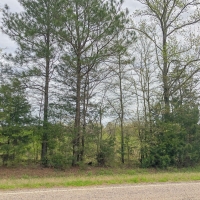 148 Acres &nbsp; Hwy 248 &nbsp; Maya 1019 West images 4