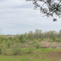 148 Acres &nbsp; Hwy 248 &nbsp; Maya 1019 West images 5