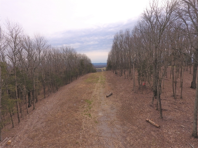 19 Acres Robertson County featured image