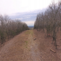 19 Acres Robertson County