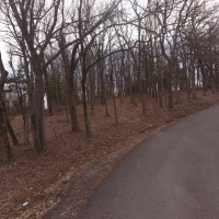 19 Acres Robertson County images 2