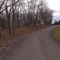 19 Acres Robertson County images 3