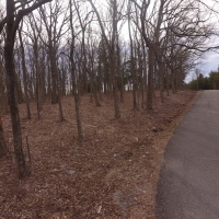 19 Acres Robertson County images 4