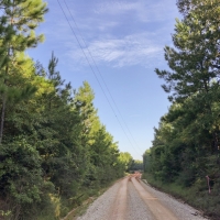 11 Acres &nbsp; Tevis T2