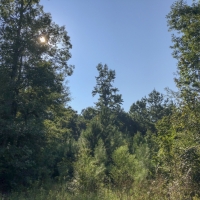 11 Acres &nbsp; Tevis T2 images 5
