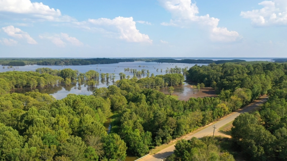 Northeast Texas Hunting Ranch Land For Sale in Jefferson  TX featured image