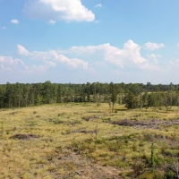 Northeast Texas Hunting Ranch Land For Sale in Jefferson  TX images 2