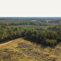 Northeast Texas Hunting Ranch Land For Sale in Jefferson  TX images 3