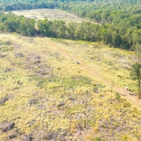 Northeast Texas Hunting Ranch Land For Sale in Jefferson  TX images 4