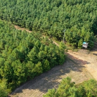 Northeast Texas Hunting Ranch Land For Sale in Jefferson  TX images 6