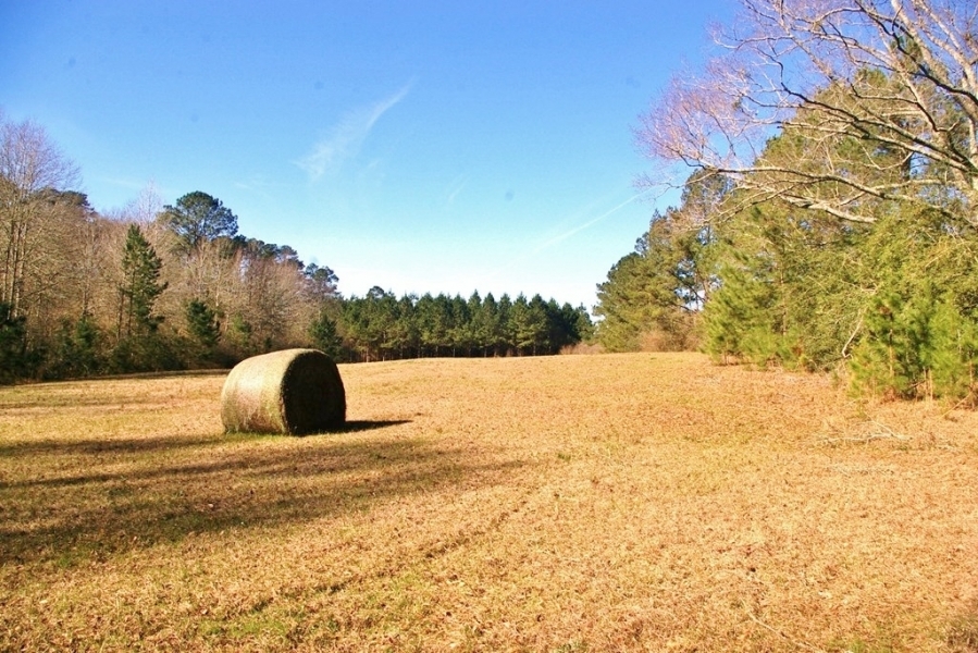 41.17 Acres North Pike School District  SW MS featured image