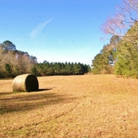 41.17 Acres North Pike School District  SW MS