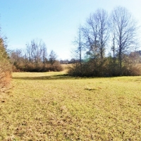 41.17 Acres North Pike School District  SW MS images 2