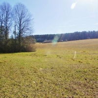 41.17 Acres North Pike School District  SW MS images 3