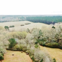 41.17 Acres North Pike School District  SW MS images 4