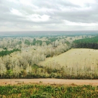 41.17 Acres North Pike School District  SW MS images 5