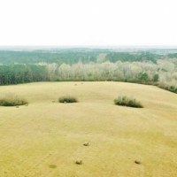 41.17 Acres North Pike School District  SW MS images 6
