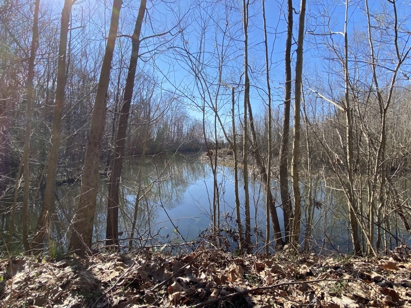 336.52 Acres in Holmes County in Tchula  MS featured image