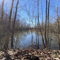 336.52 Acres in Holmes County in Tchula  MS