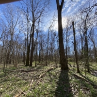 336.52 Acres in Holmes County in Tchula  MS images 2
