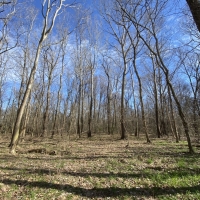 336.52 Acres in Holmes County in Tchula  MS images 3