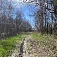 336.52 Acres in Holmes County in Tchula  MS images 4
