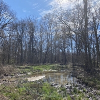 336.52 Acres in Holmes County in Tchula  MS images 5