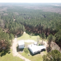 477 Acre Hunting Paradise  Camp for Sale Jefferson County MS images 5
