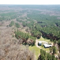 477 Acre Hunting Paradise  Camp for Sale Jefferson County MS images 6