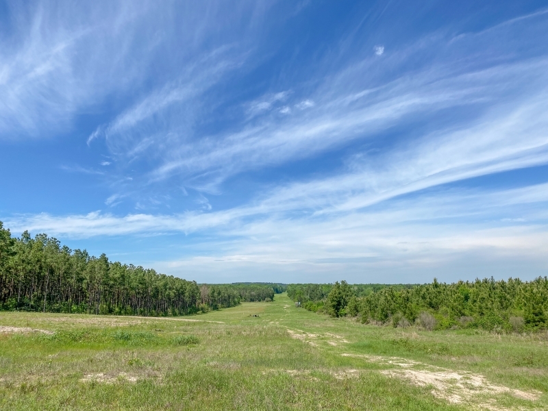 3 866 Acres &nbsp; Fork of The Creek Ranch featured image