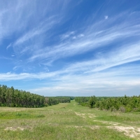 3 866 Acres &nbsp; Fork of The Creek Ranch