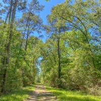 3 866 Acres &nbsp; Fork of The Creek Ranch images 2