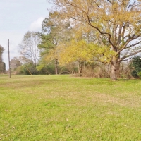 42 Acre Land for Sale 3 Bed 3 Home  2 Poultry Houses SW MS images 2