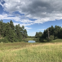 Strawberry Ridge Ranch
