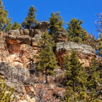 Strawberry Ridge Ranch images 2