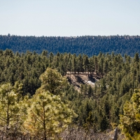 Strawberry Ridge Ranch images 5