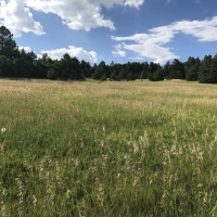 Strawberry Ridge Ranch images 6