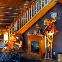 Income Producing Luxury Log Home For Sale in Colorado images 5