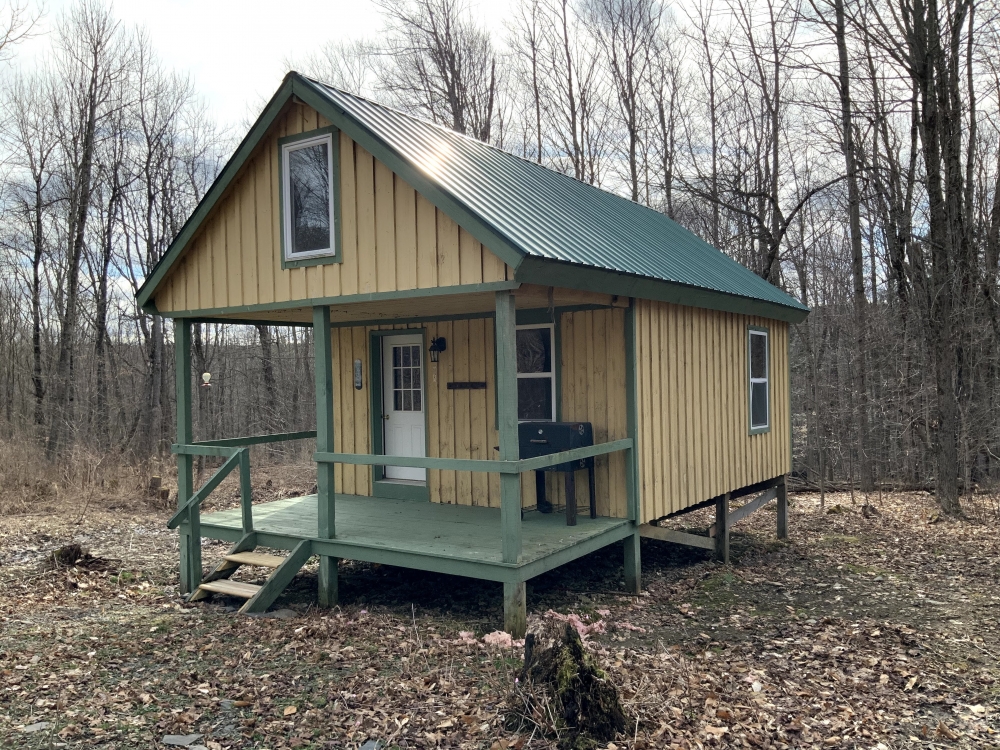 5 acre Woodland Hunting Camp Smyrna NY featured image