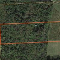 5 acre Woodland Hunting Camp Smyrna NY images 5