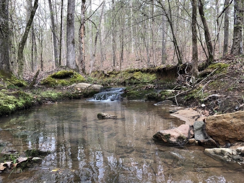 Lake  Country Timber Tract featured image
