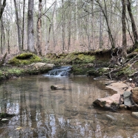 Lake  Country Timber Tract