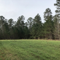 Lake  Country Timber Tract images 3