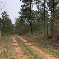 Lake  Country Timber Tract images 6