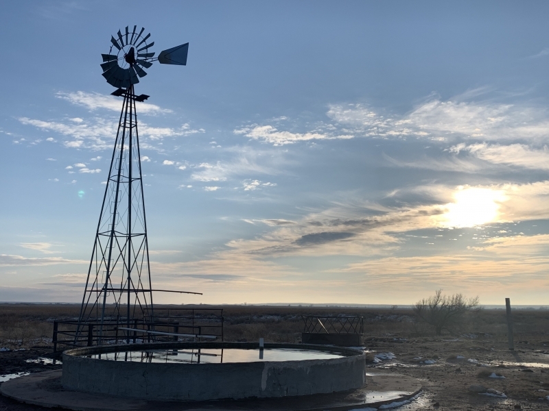 Income-Producing Farm &nbsp; Ranch For Sale in Clark County  KS - Auction featured image
