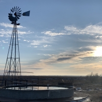 Income-Producing Farm &nbsp; Ranch For Sale in Clark County  KS - Auction